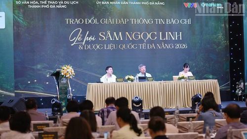 Ban tổ chức chia sẻ thông tin về lễ hội.