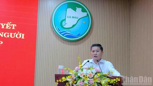 Chánh thanh tra tỉnh Cà Mau Hoàng Phương Thảo báo cáo tham luận tại hội nghị chuyên đề.