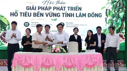 Ký kết một số thỏa thuận hợp tác nhằm thúc đẩy phát triển chuỗi giá trị hồ tiêu bền vững giữa các đơn vị, doanh nghiệp, hợp tác xã sản xuất hồ tiêu trên địa bàn tỉnh Lâm Đồng.
