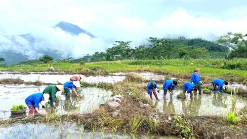  Tại xã Cao Sơn, Đoàn Thanh niên xã phối hợp với Hội Liên hiệp Phụ nữ và Chi đoàn thôn Tằm tổ chức ngày công tình nguyện giúp đỡ gia đình chính sách trên địa bàn. Các đoàn viên, hội viên trực tiếp xuống đồng cấy lúa, hỗ trợ công việc đồng áng, sẻ chia phần nào khó khăn với các gia đình có công với cách mạng. 