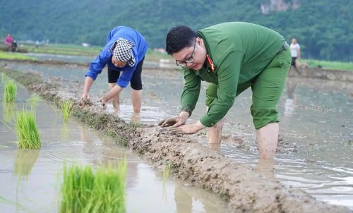  Chi đoàn Công an xã Mai Hạ phối hợp các đơn vị xóm Đồng Uống tổ chức hỗ trợ ngày công cấy lúa cho gia đình ông Vì Văn Thạnh, nguyên cán bộ công an. Hiện ông Thạnh bị tai biến, sức khỏe giảm sút, gia đình ít lao động nên gặp nhiều khó khăn trong sản xuất. 