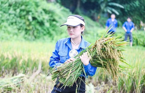 Với hành trang là trái tim nhiệt huyết, khối óc sáng tạo và đôi bàn tay sẵn sàng hành động, tuổi trẻ Bắc Ninh đã triển khai nhiều công trình, phần việc thiết thực hướng về vùng biên giới.