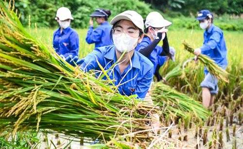 Chiến dịch “Mùa hè Xanh” lần này là hoạt động thiết thực hưởng ứng Chiến dịch Thanh niên tình nguyện Hè.