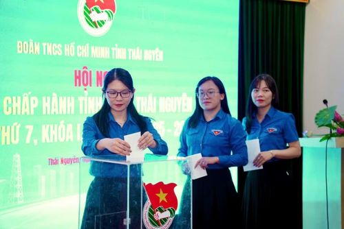 Các đại biểu bỏ phiếu bầu
