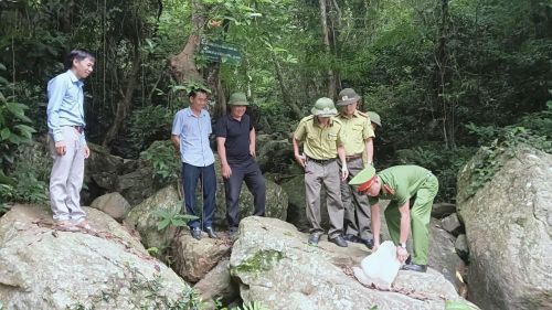 Công an phường Nguyễn Trãi phối hợp tổ chức thả 4 cá thể rùa Sa Nhân quý hiếm về môi trường tự nhiên.