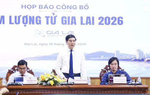  Phó Chủ tịch UBND tỉnh Gia Lai Lâm Hải Giang khẳng định tỉnh chủ động tiếp cận các công nghệ chiến lược, mở rộng hợp tác quốc tế. Ảnh: Ngọc Minh