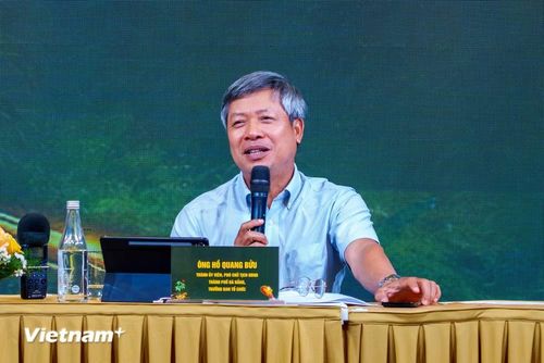 Ông Hồ Quang Bửu, Phó Chủ tịch Ủy ban nhân dân thành phố Đà Nẵng. (Ảnh: Thanh Phong/Vietnam+)
