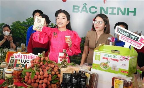 Quảng bá trực tuyến sản phẩm vải thiều và các nông sản chủ lực, đặc trưng OCOP của tỉnh Bắc Ninh.