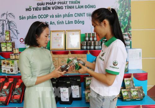 Đại biểu tham quan, tìm hiểu các sản phẩm hồ tiêu do hợp tác xã trên địa bàn tỉnh Lâm Đồng trưng bày, giới thiệu bên lề Hội thảo. Ảnh: Nguyễn Huy Thành – TTXVN