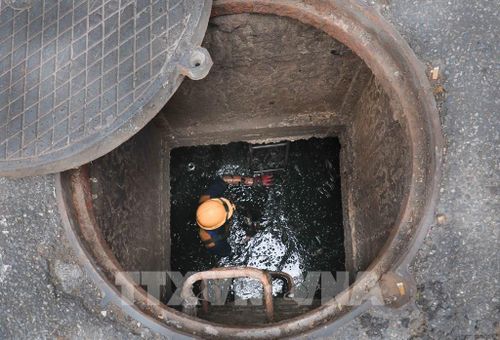 Công việc đòi hỏi phải trực tiếp ngâm mình dưới dòng nước cống đen ngòm. Ảnh: Phan Phương – TTXVN