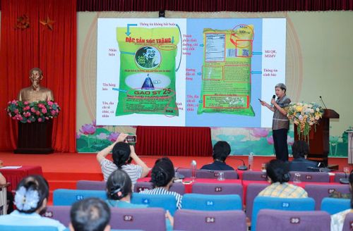 Ông Trần Đức Thái, nguyên Thanh tra Chính phủ chia sẻ tại hội thảo