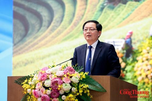 Phó Thủ tướng Chính phủ Hồ Quốc Dũng phát biểu chỉ đạo tại hội nghị.