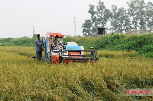 Người nông dân không còn đứng ngoài các cam kết khí hậu