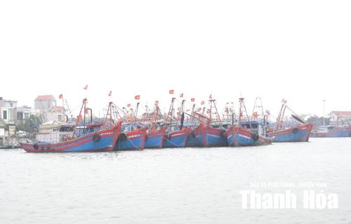 Tàu thuyền liên tục cập bến sau những chuyến biển dài ngày.
