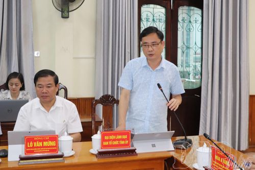 Đại diện lãnh đạo Ban Tổ chức Tỉnh ủy phát biểu tại hội nghị.