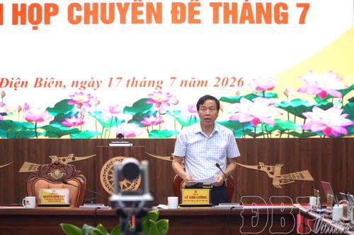 Phó Bí thư Tỉnh ủy, Chủ tịch UBND tỉnh Lê Văn Lương phát biểu tại phiên họp.