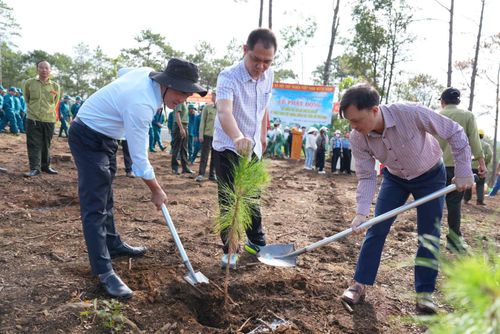 Xã Bảo Lâm 4 phát động Tết trồng cây đời đời nhớ ơn Bác Hồ và trồng cây xanh theo kế hoạch