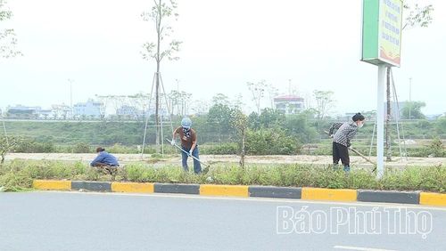 Hội viên phụ nữ dọn dẹp vệ sinh để đường phố sáng, xanh, sạch đẹp.