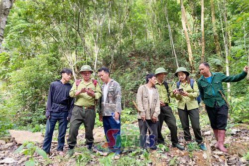 Ban Quản lý rừng đặc dụng phòng hộ Sốp Cộp ứng dụng thiết bị thông minh trong quản lý, bảo vệ rừng.