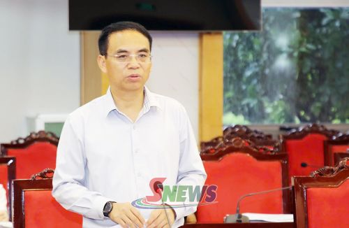 Đồng chí Phó Chủ tịch UBND tỉnh phát biểu tại cuộc làm việc.