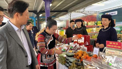 Thông qua hoạt động xúc tiến thương mại sẽ giúp các HTX mở rộng thị trường tiêu thụ.