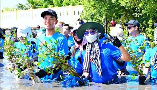 Trồng rừng là một trong những giải pháp giảm thiệt hại thiên tai vì sự phát triển bền vững (ảnh minh họa)