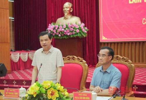 Phó Bí thư Thường trực Tỉnh ủy, Trưởng Đoàn đại biểu Quốc hội tỉnh Bế Thanh Tịnh phát biểu tại buổi làm việc.