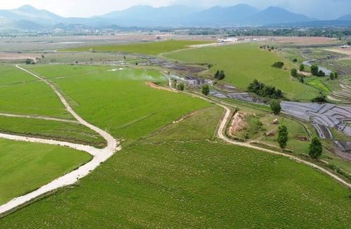 Siêu trang trại của Vinamilk tại Lào với quy mô lên đến 100.000 con bò.