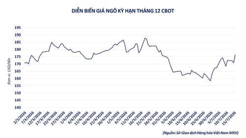 Diễn biến giá ngô kỳ hạn tháng 12. Nguồn: MXV