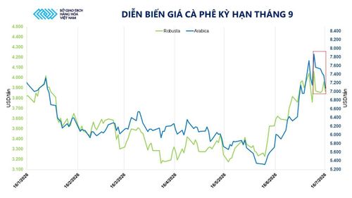Diễn biến giá cà phê kỳ hạn tháng 9. Nguồn: MXV