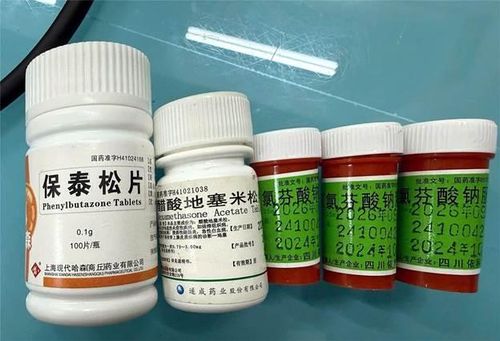 Lọ thuốc người bệnh sử dụng có chứa chất cấm Phenylbutazone. Ảnh: BVCC. 