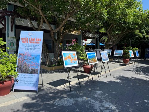 Nhiều hoạt động sẽ diễn ra trong lễ hội “Cù Lao Chàm - Mùa hoa ngô đồng đỏ” năm 2026 từ ngày 18 đến 31-7