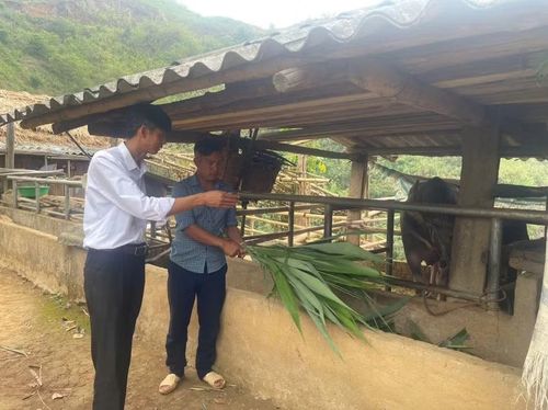 Ông Phạm Văn Khiêm (bìa phải) hướng dẫn Giàng A Vả tập trung chăn nuôi theo hướng nuôi nhốt thay vì thả rông gia súc như trước đây.