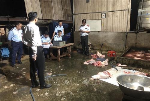 Ngành chức năng bắt quả tang cơ sở giết mổ lợn trái phép tại Đồng Nai. Ảnh tư liệu: Công Phong/TTXVN