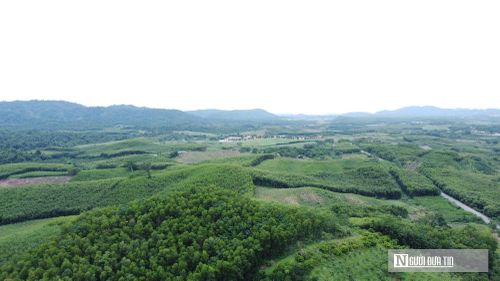 Gần 2 thập kỷ trôi qua, những thanh niên từng lên Sông Chàng lập nghiệp đã khai phá đất đai, hình thành thôn Thanh Niên và phủ xanh vùng đồi bằng những cánh rừng keo, nương mía, sắn và cây ăn quả.