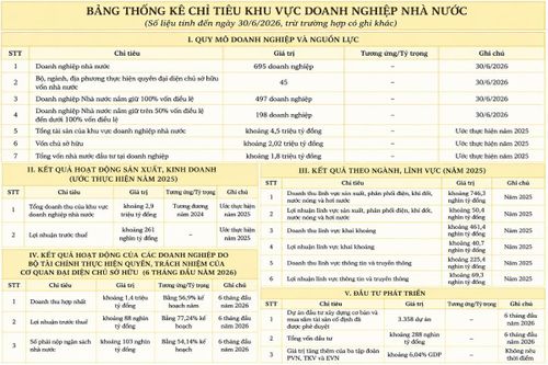 VnEconomy tổng hợp từ báo cáo của Bộ Tài chính.