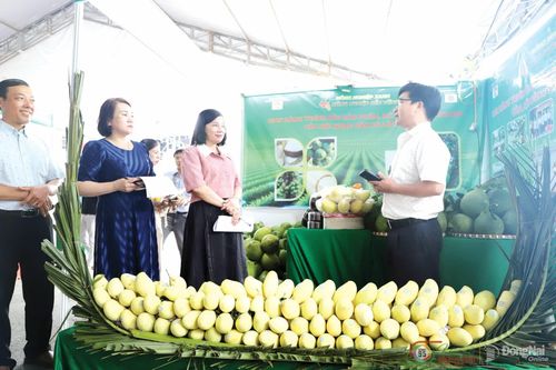 Gian hàng trưng bày đặc sản xoài của xã Lộc Thạnh tại Triển lãm Thành tựu nông nghiệp Đồng Nai năm 2025.