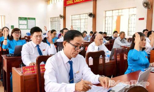 Đại biểu biểu quyết thông qua các dự thảo Nghị quyết.