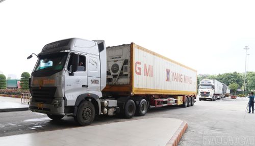 Việc triển khai đồng bộ các giải pháp tạo thuận lợi thương mại góp phần duy trì dòng chảy hàng hóa thông suốt qua cửa khẩu Lào Cai, thúc đẩy xuất khẩu nông sản Việt Nam.