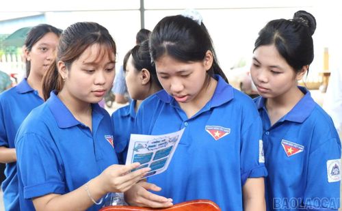 Đoàn viên, thanh niên tìm hiểu thông tin tuyển dụng từ các doanh nghiệp và cơ sở giáo dục nghề nghiệp.