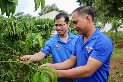 Tập huấn chuyển giao khoa học kỹ thuật trong sản xuất nông nghiệp