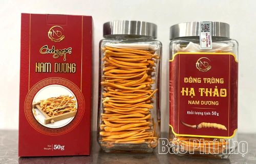 Dòng sản phẩm Đông trùng hạ thảo Nam Dương.
