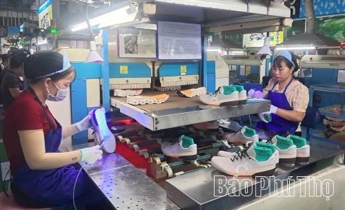 Sản phẩm giày của Công ty cổ phần Giày Vĩnh Yên được xuất khẩu sang thị trường các nước EU, Mỹ, Hàn Quốc, Nhật Bản.