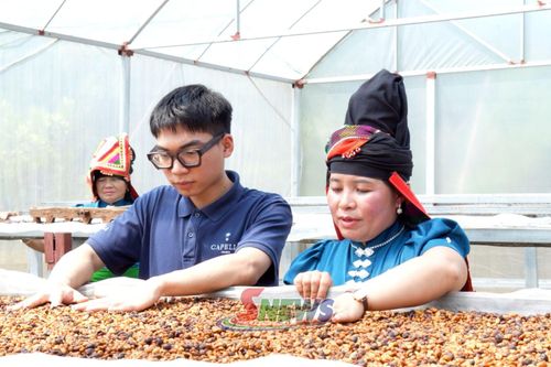 Anh Trần Đức Thắng tìm hiểu về quy trình chế biến các dòng sản phẩm cà phê của HTX Ara-Tay Coffee, xã Mường Chanh.