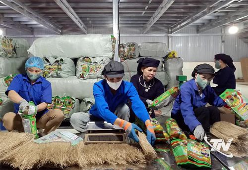 Đóng gói sản phẩm tại Hợp tác xã Tài Hoan.