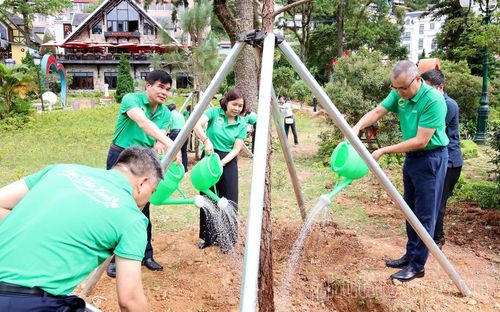 Bí thư Tỉnh ủy Phạm Đại Dương; Phó Chủ tịch UBND tỉnh Phùng Thị Kim Nga và đại diện lãnh đạo các sở, ngành trồng cây, tạo không gian xanh cho Khu du lịch Tam Đảo. (Nguồn ảnh: Cổng thông tin điện tử tỉnh Phú Thọ)