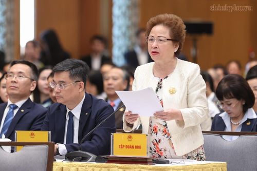 Bà Nguyễn Thị Nga, Quyền Chủ tịch Hội Doanh nhân Tư nhân Việt Nam, Chủ tịch Tập đoàn BRG, Phó Chủ tịch thường trực Ngân hàng TMCP Đông Nam Á (SeABank) - Ảnh: VGP/Nhật Bắc