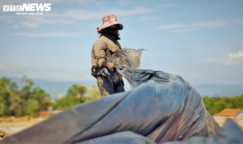 Trên công trường đầy nắng gió và bụi bặm này có nhiều lao động nữ. Họ phải đứng, cúi liên tục nhiều giờ liền dưới cái nắng như thiêu như đốt của Gia Lai, cùng đẩy nhanh tiến độ hoàn thành đường băng mới.