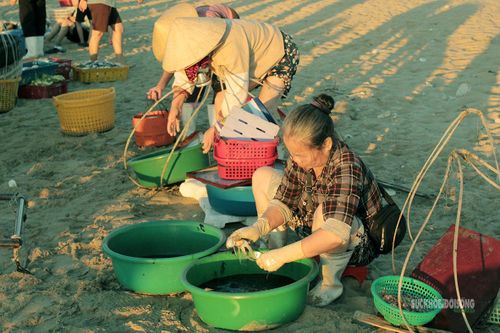 Giữ hải sản tươi sống trước khi bán.
