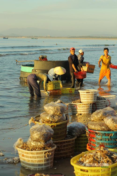 Hải sản được chuyển khỏi thuyền.